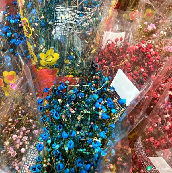 山姆新開嘅分店呀