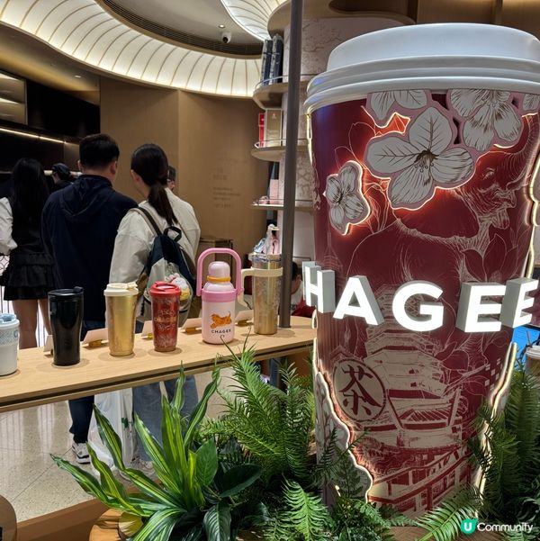 霸王茶姬新出的大紅袍系列😋