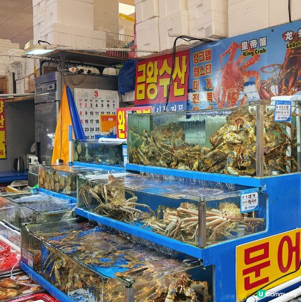 首爾鷺梁津水產市場平食海鮮🥢🥳