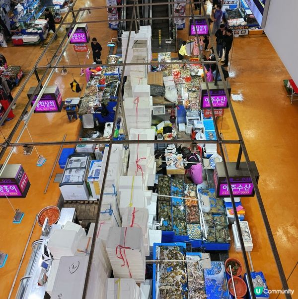 首爾鷺梁津水產市場平食海鮮🥢🥳