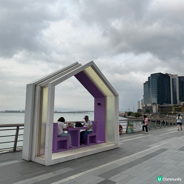 香港都有得睇櫻花？🌸抓緊賞花的尾巴😗