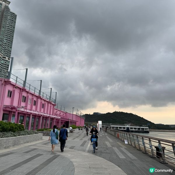 香港都有得睇櫻花？🌸抓緊賞花的尾巴😗
