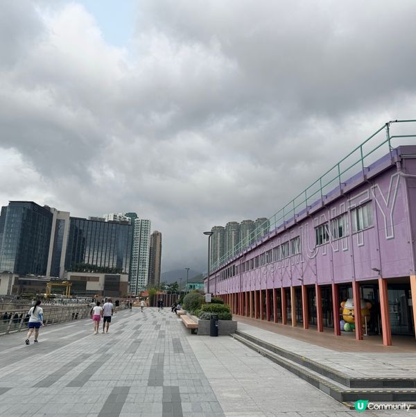 香港都有得睇櫻花？🌸抓緊賞花的尾巴😗