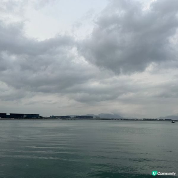 香港都有得睇櫻花？🌸抓緊賞花的尾巴😗