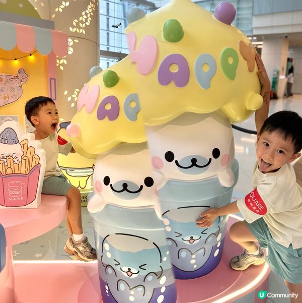 超萌小海豹登場！🍦🐬