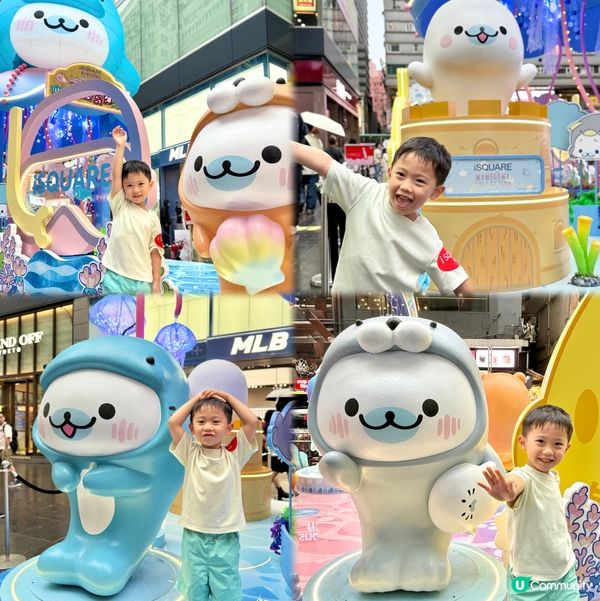 超萌小海豹登場！🍦🐬