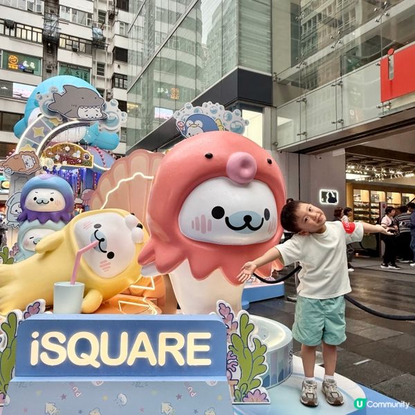 超萌小海豹登場！🍦🐬