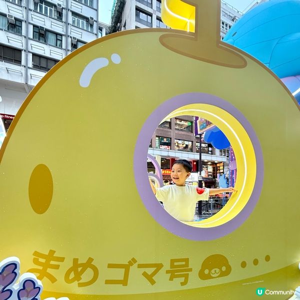 超萌小海豹登場！🍦🐬