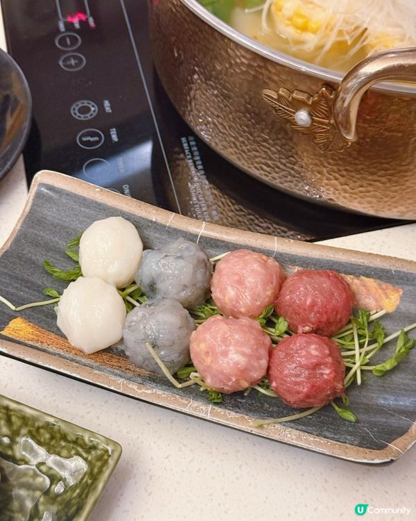 🐶寵物友善火鍋店🍲