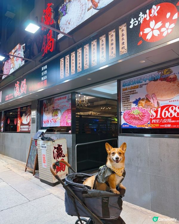 🐶寵物友善火鍋店🍲