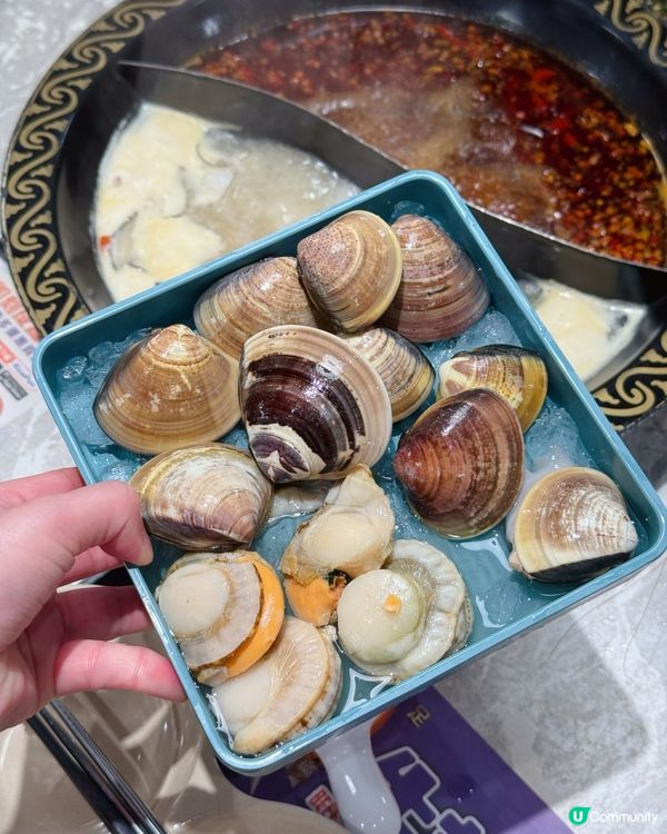 觀塘牛站(駅)麻辣火鍋放題🔥 食到停唔到🤤