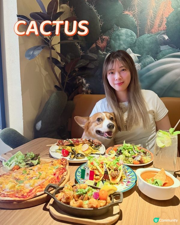 週末帶薑餅去邊？🇲🇽🌮