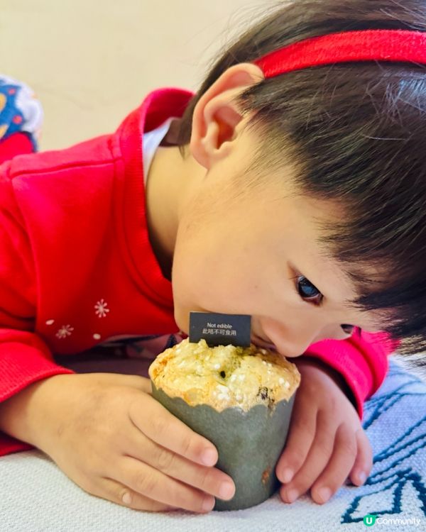 聖誕節2025‼️傳統聖誕麵包Panettone🍞