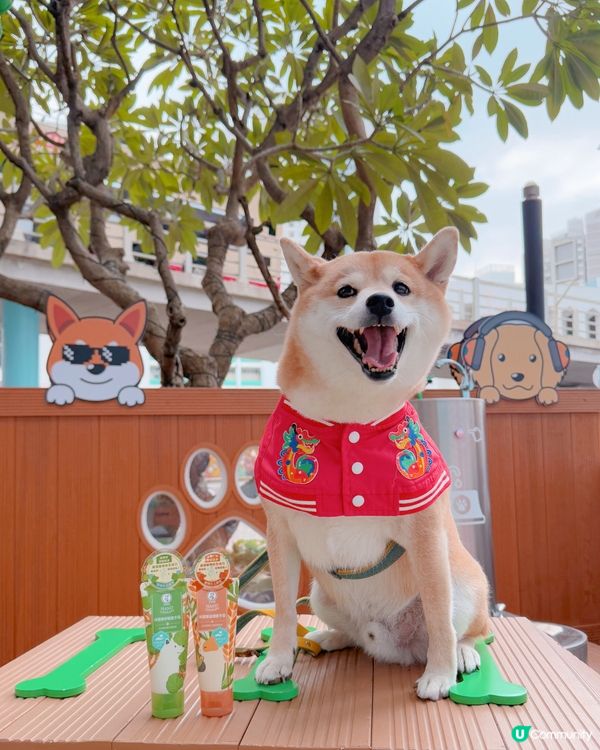 ✨✨曼秀雷敦 • 伴寵樂護手霜🧴🧡💚🐾