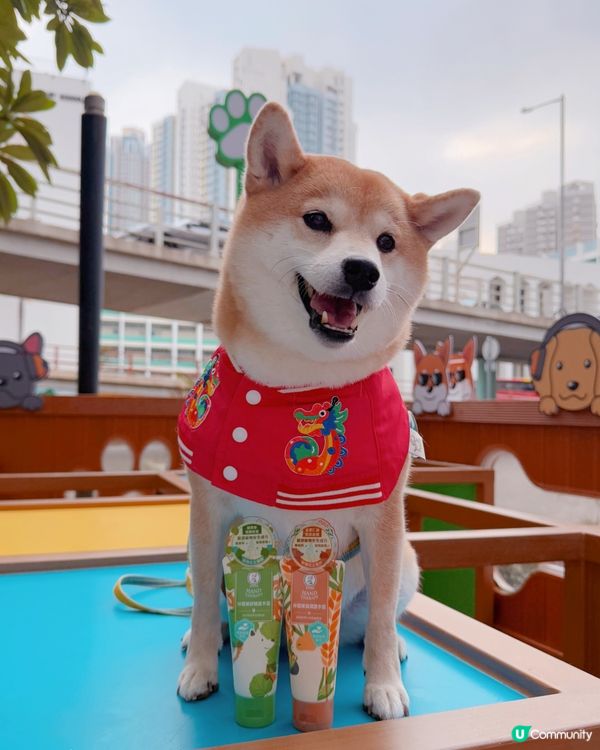 ✨✨曼秀雷敦 • 伴寵樂護手霜🧴🧡💚🐾