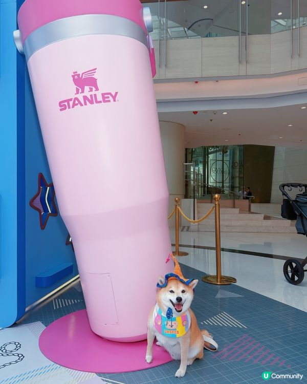 🌵Stanley 1913西部系列🤠寵物碗登陸圓方❣️