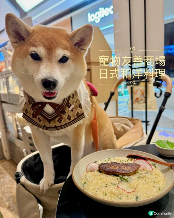 🏬寵物友善商場·精緻和洋料理🇯🇵