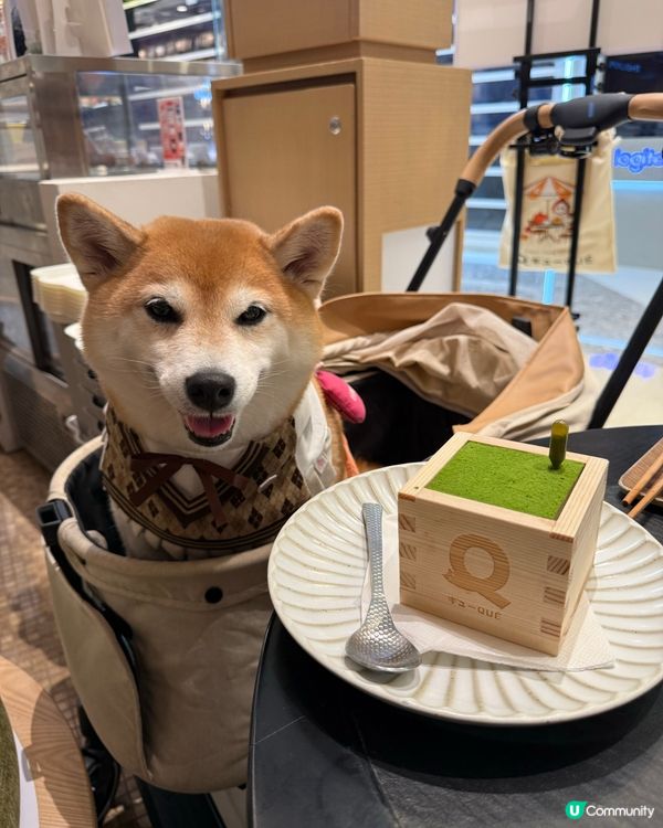 🏬寵物友善商場·精緻和洋料理🇯🇵