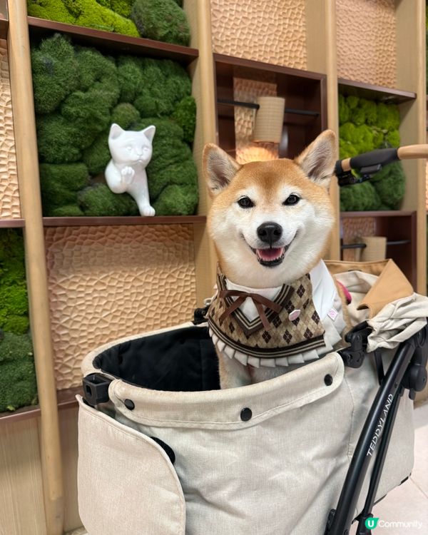 🏬寵物友善商場·精緻和洋料理🇯🇵