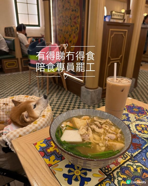 😴陪食專員宣佈罷工🪧