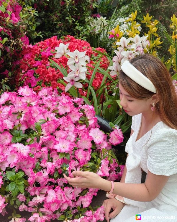 愛麗絲夢遊仙境的花園！超過400,000棵植物打卡！