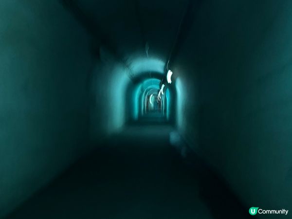 日本之旅，食住買，樣樣都正！😋🇯🇵