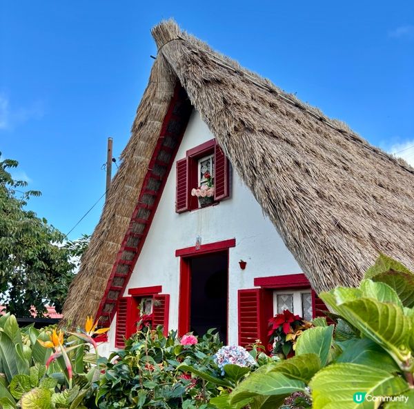 《建築作為鄉土語言:Santana小屋的文化延續》 🤓