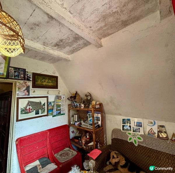 《建築作為鄉土語言:Santana小屋的文化延續》 🤓