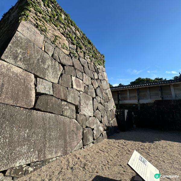 名古屋城旅遊攻略🏯