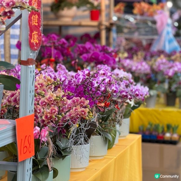 土瓜灣首個年宵市場，隨便打卡！