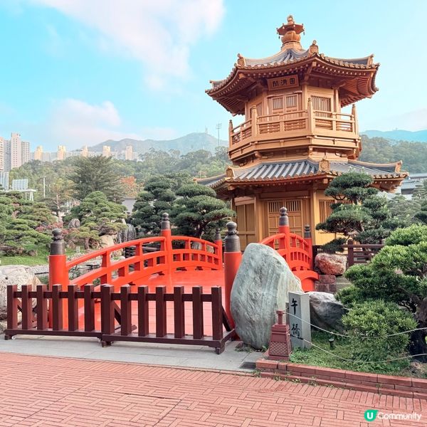 港版小京都🎐清晨漫步賞花🍃🚶‍♀️