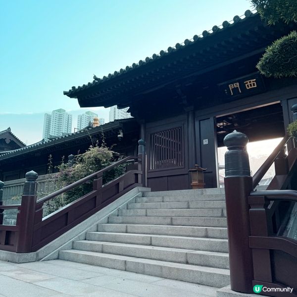 港版小京都🎐清晨漫步賞花🍃🚶‍♀️