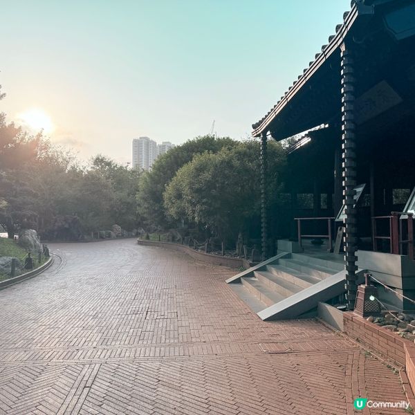 港版小京都🎐清晨漫步賞花🍃🚶‍♀️