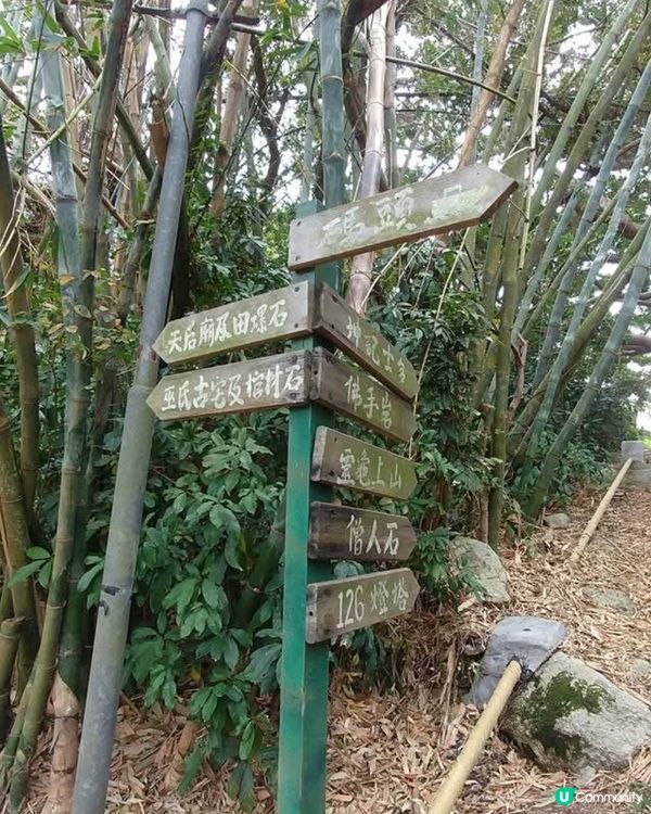 ❤️❤️秋涼行山好去處 - 蒲台島