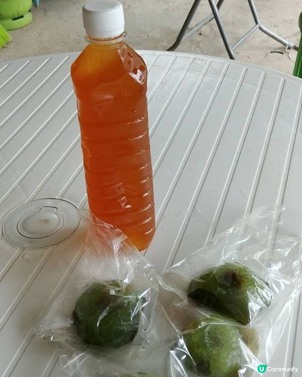 ❤️❤️秋涼行山好去處 - 蒲台島