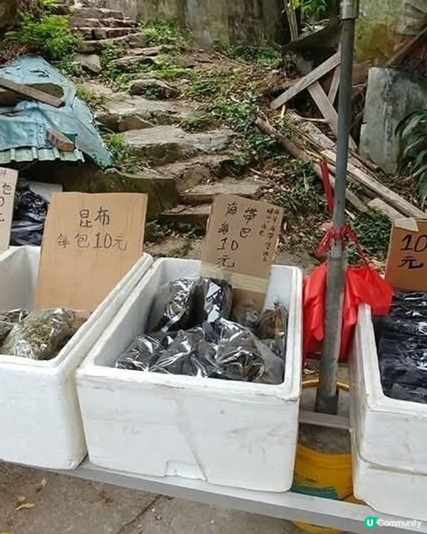 ❤️❤️秋涼行山好去處 - 蒲台島