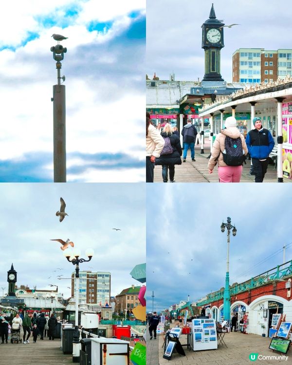 🏖️美景加遊樂設施🎡布萊頓渡假感🤩親子推介好去處