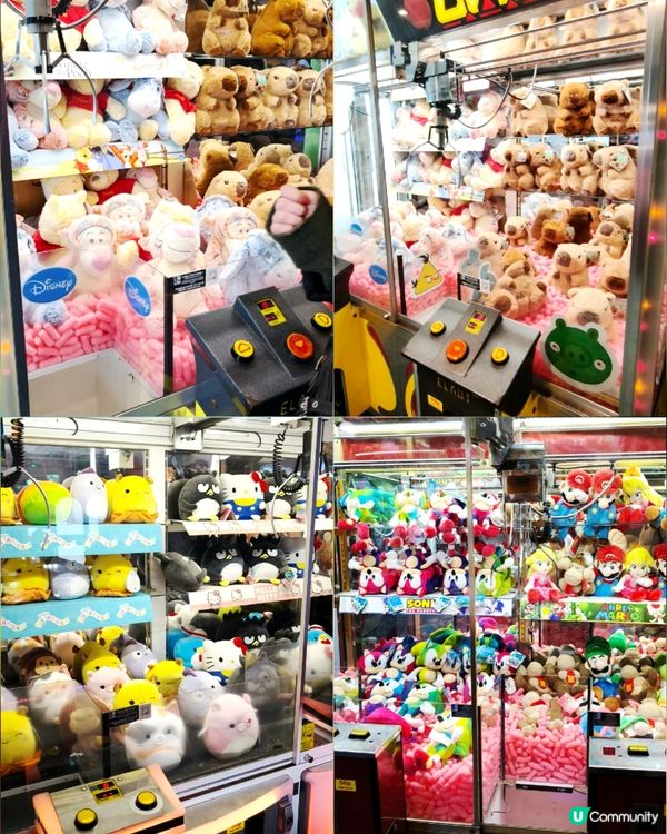 🏖️美景加遊樂設施🎡布萊頓渡假感🤩親子推介好去處