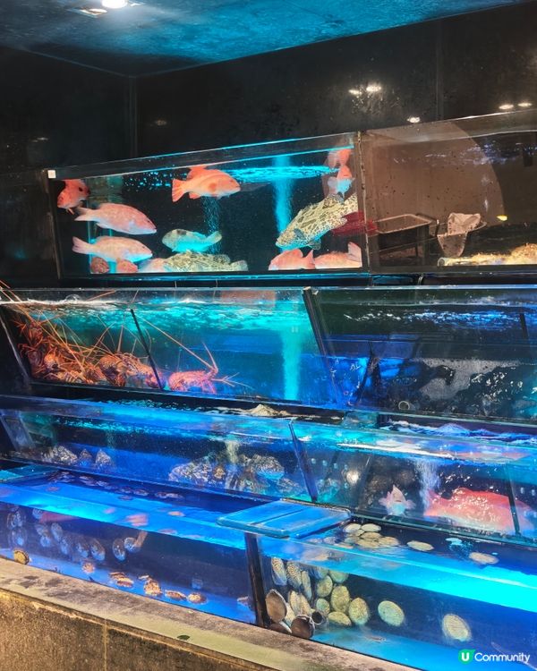 【銅鑼灣皇室堡】豪宴薈下午茶時光，點心水準紮實抵食