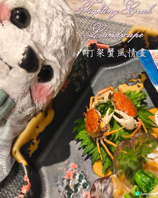 Foca - 晚秋小光🪸 - 菊月町