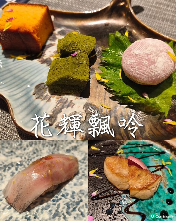 Foca - 晚秋小光🪸 - 菊月町