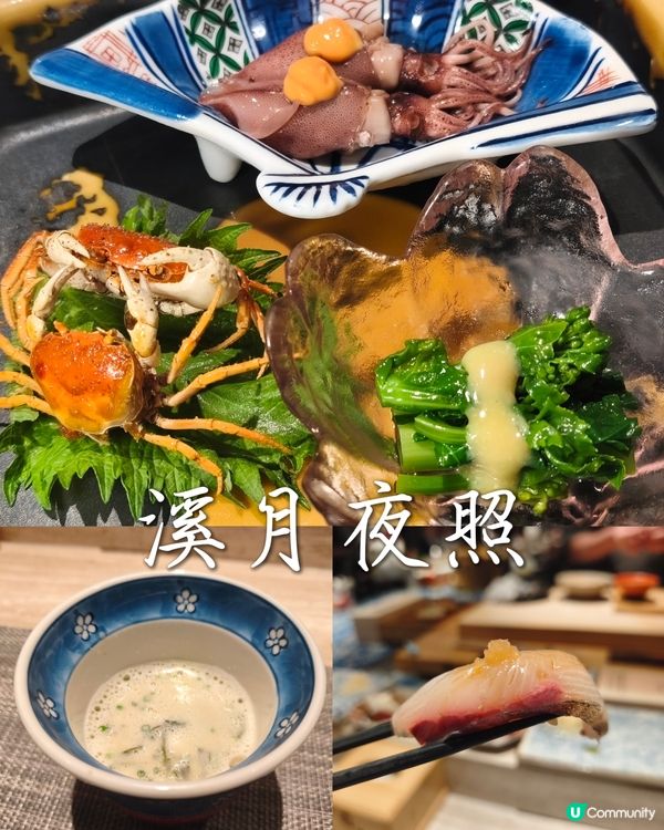 Foca - 晚秋小光🪸 - 菊月町