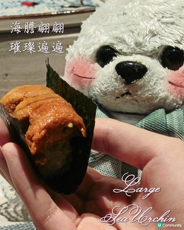 Foca - 晚秋小光🪸 - 菊月町