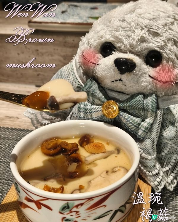 Foca - 晚秋小光🪸 - 菊月町