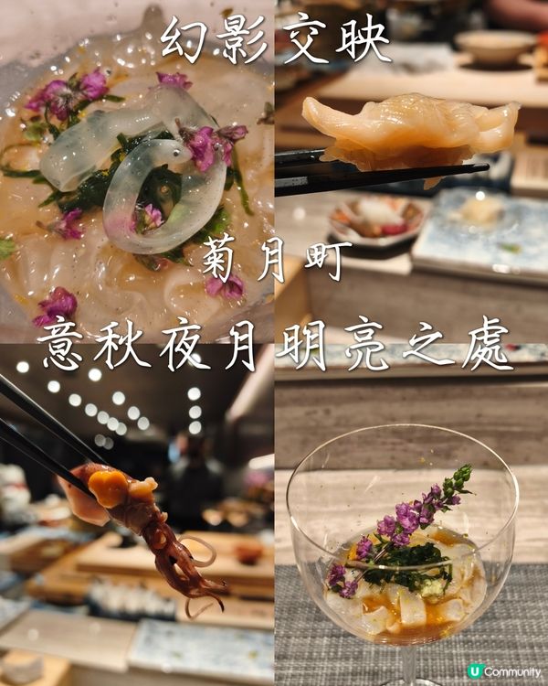 Foca - 晚秋小光🪸 - 菊月町