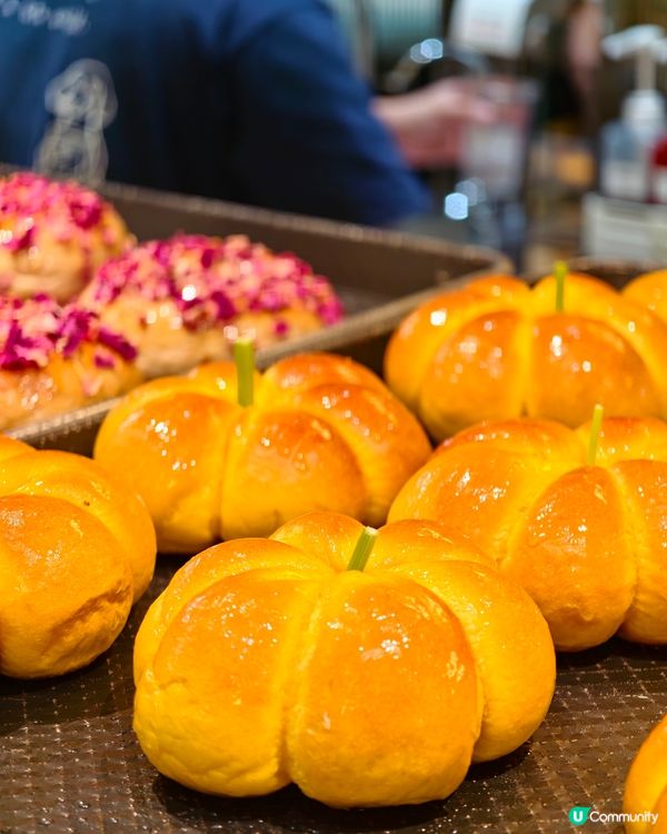 深圳必食🥯 人氣 Begl