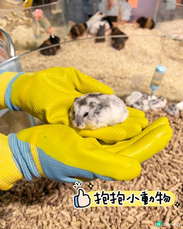 珠海親子遊‼️呢度小朋友必去😍