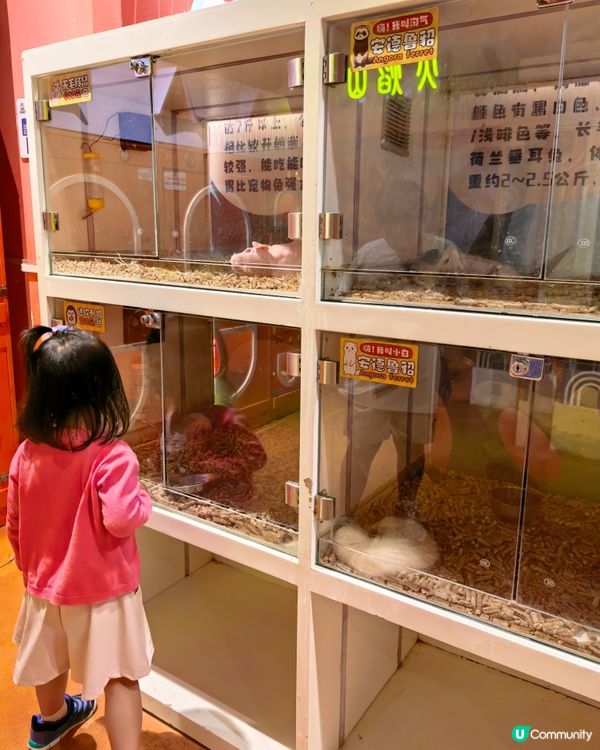 珠海親子遊‼️呢度小朋友必去😍