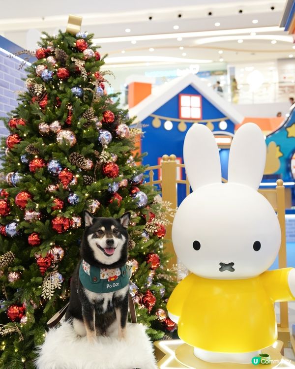 🎄東港城打卡攻略📸！miffy星河祈願之旅 ✨！