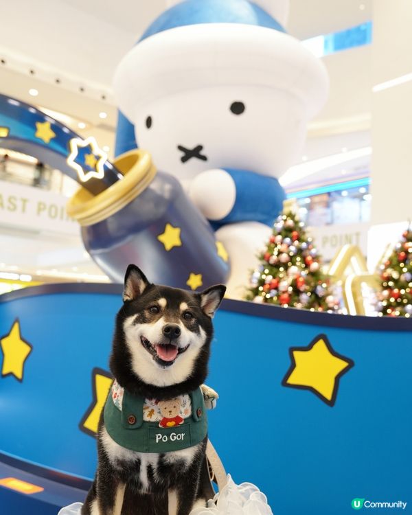 🎄東港城打卡攻略📸！miffy星河祈願之旅 ✨！